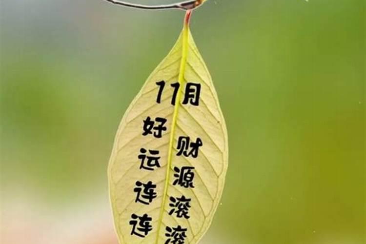 超度完后说11月开始好运