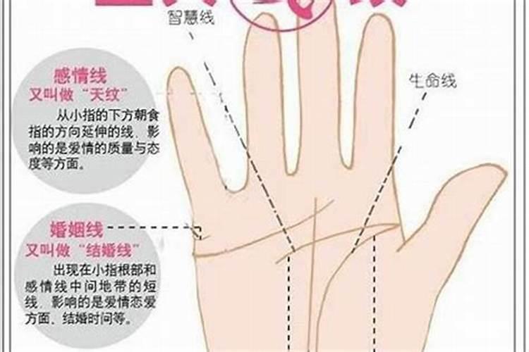 根据生辰八字和手相算命准吗？