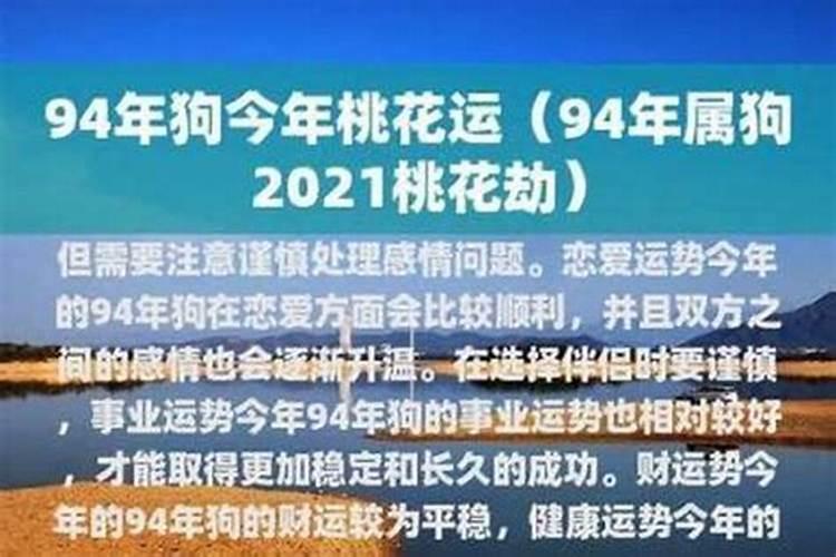 94属狗人今年爱情运势
