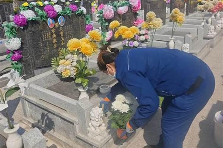清明祭扫山东