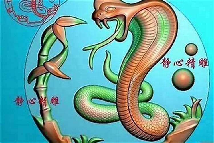 男蛇女蛇属相婚配可以吗？