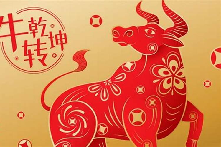 牛人今年的运势如何？