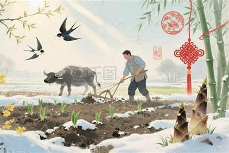 立春遇上奥运农耕