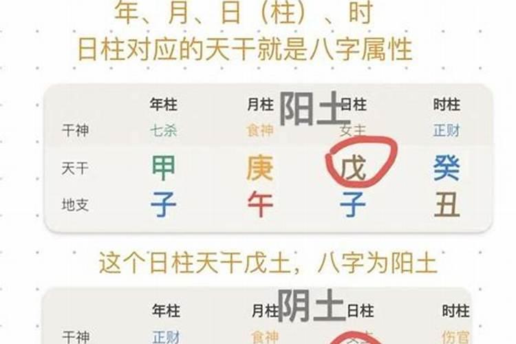 八字排盘如何看婚姻？