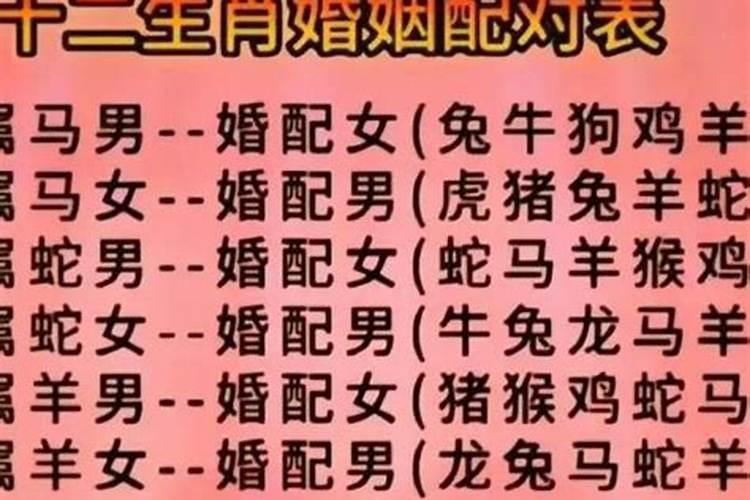 男狗婚配哪个属相？