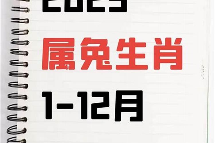 属兔的人佩戴什么才能加强运势？