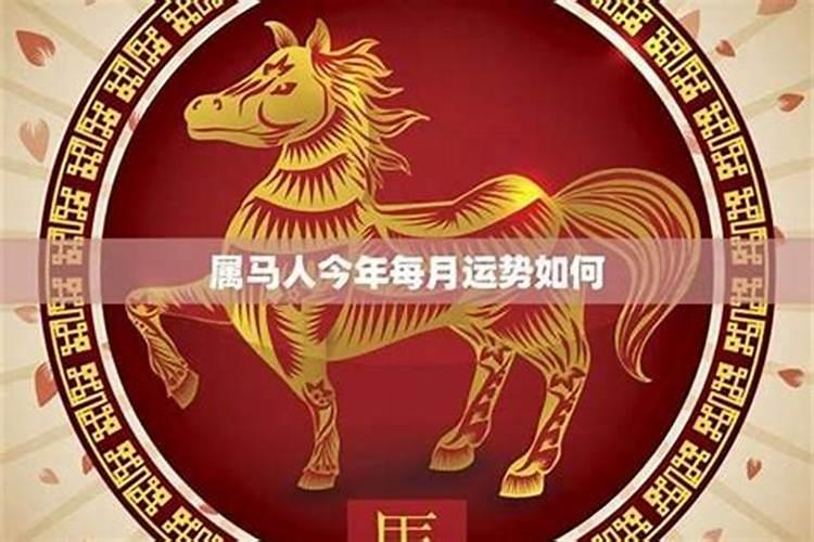 属马的6月的一生运势如何？