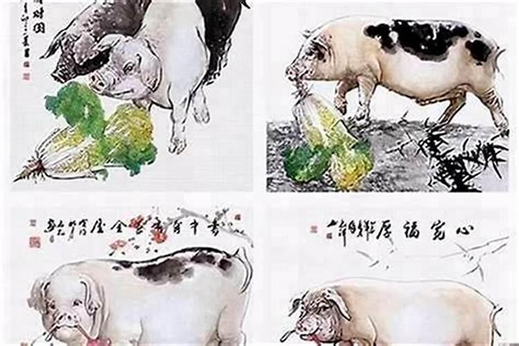 83猪和94狗合婚吗？