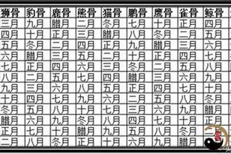 八字几两几钱什么意思？