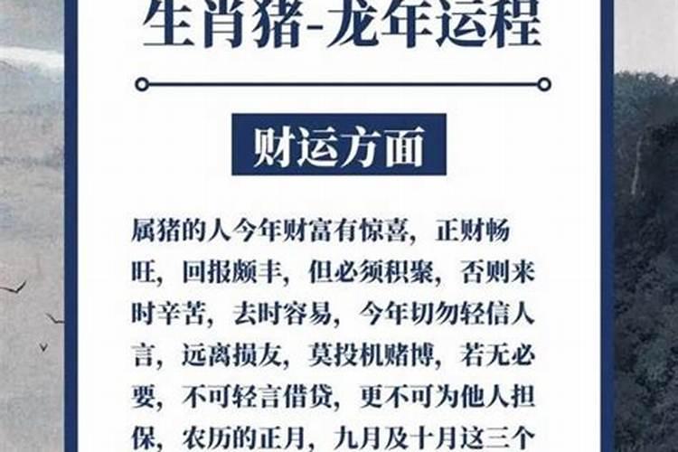 猪宝宝几月出生最好命？