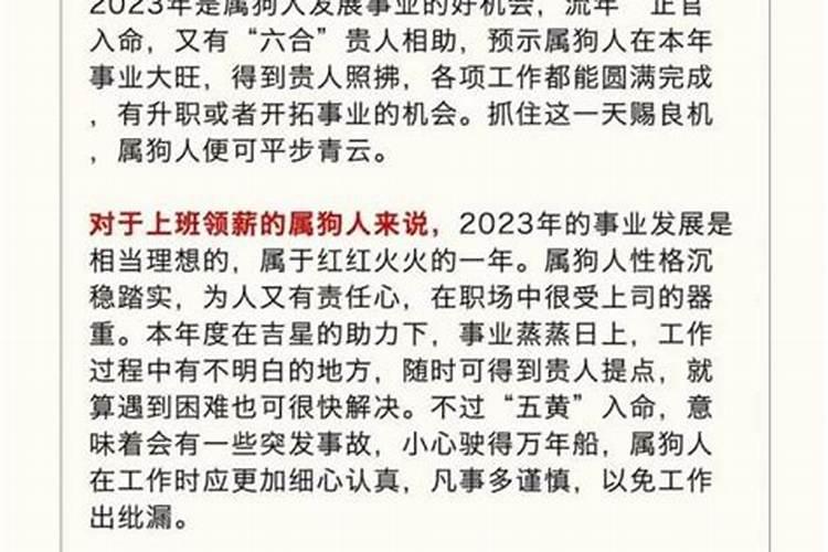 82年属响人2027年运势