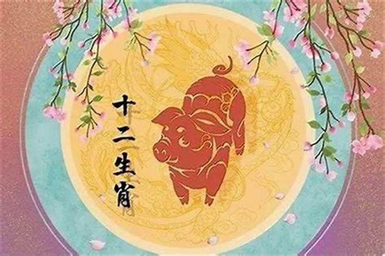 1995年属猪男2027年运势