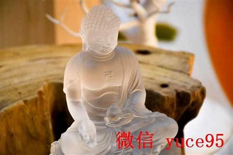 兔子和鸡一起运势怎么样？