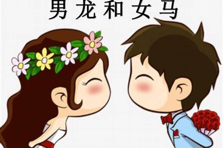 女马和男龙合婚吗？