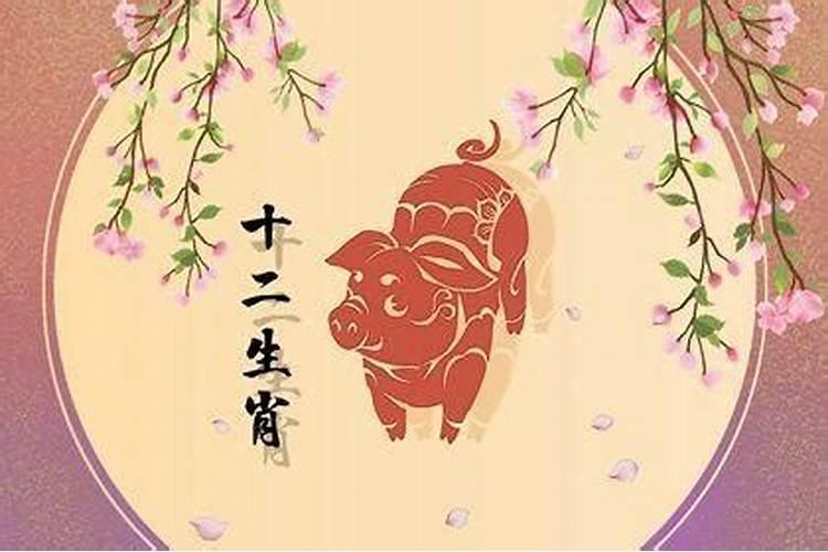 猪宝宝农历八月十三出生运势