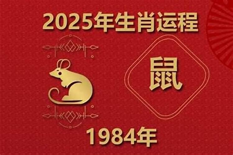 1984男属鼠在2027年的运程