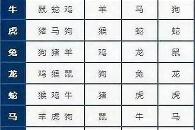 属鼠女跟什么属相婚配最好？