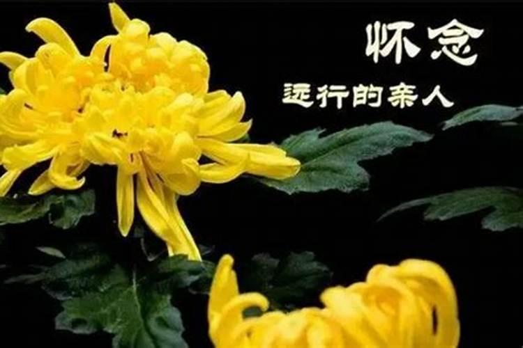 清明祭慈母