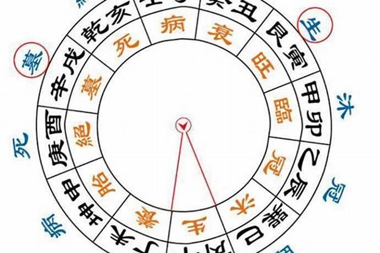 大运是什么意思？