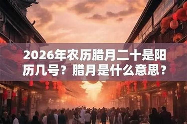 明天腊月二十几呢？