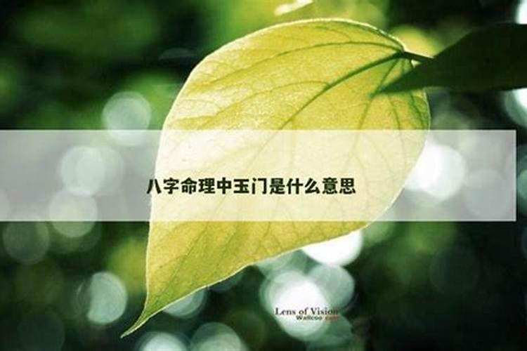 八字中玉门什么意思？