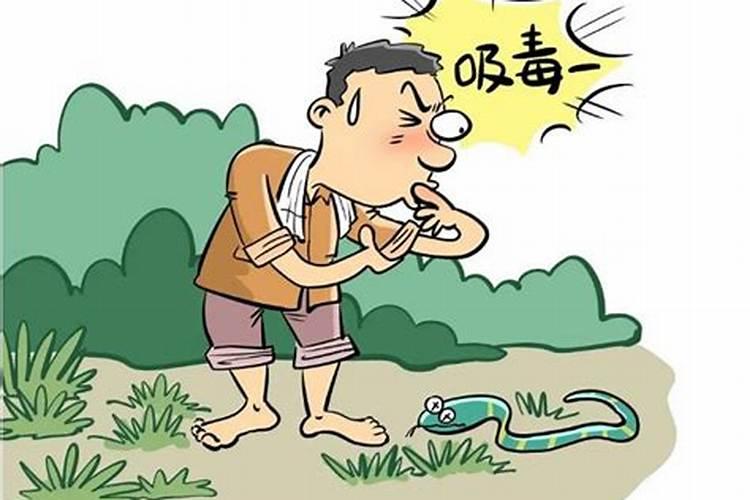 梦见蛇咬自己的手不放