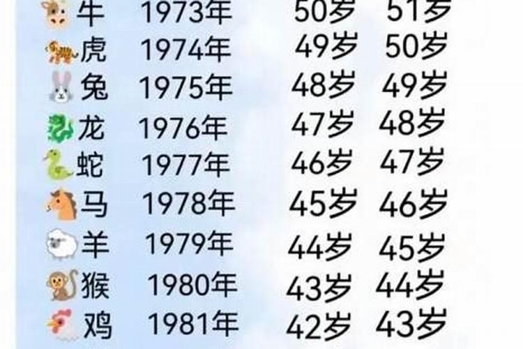 生肖龙今年多少岁了？