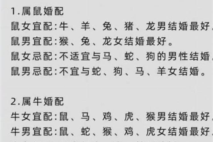 猪跟牛八字不合