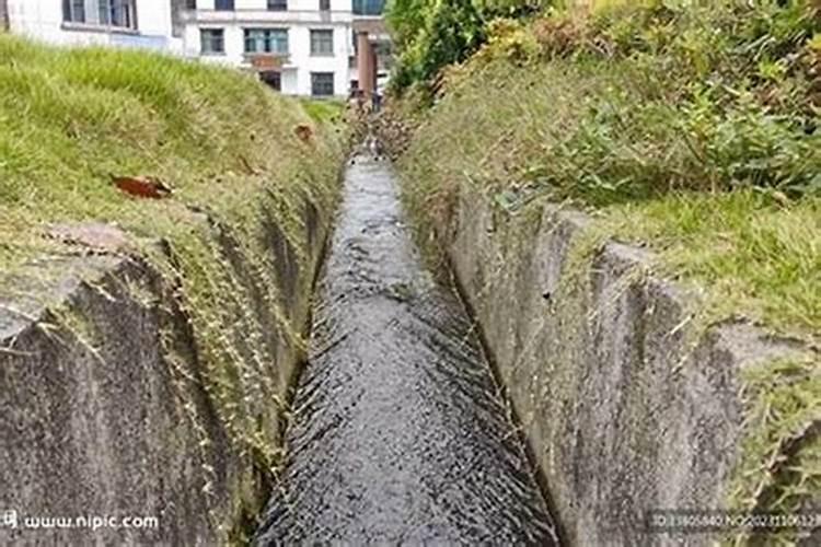 梦到水渠里的水在流动解梦