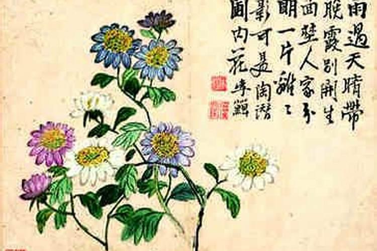 重阳节生的女孩命运