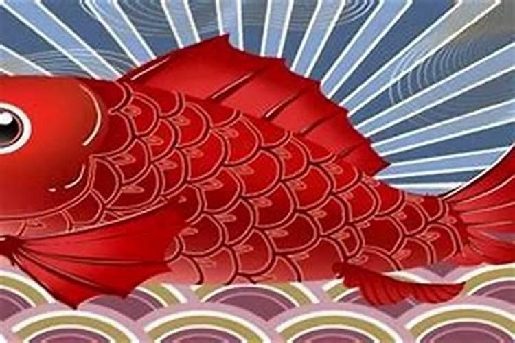 梦见红色大鲤鱼入怀
