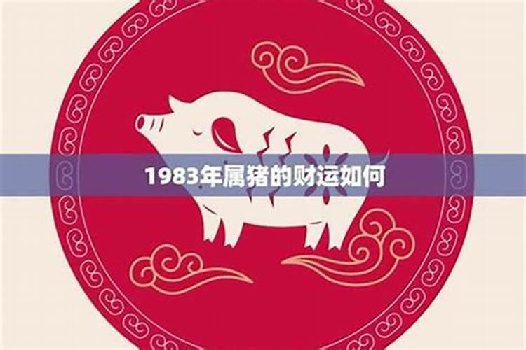 1983的猪今年运势怎么样？