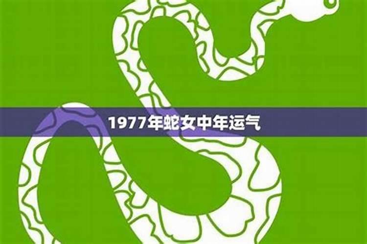 77年生人在2027年的运势如何？