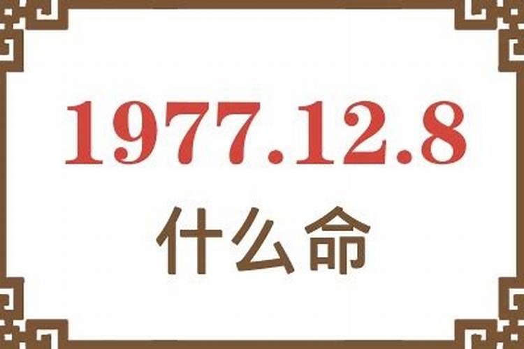 1977年什么命年？