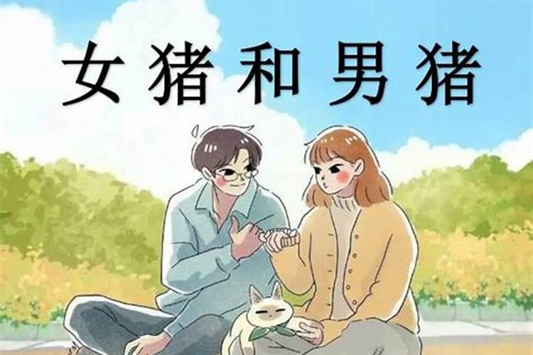 女狗和男猪八字合吗？