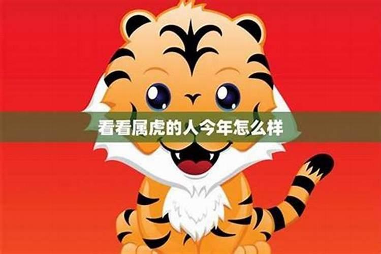 属虎今年的婚姻运势