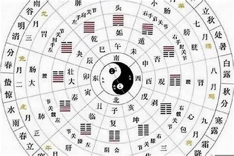 合婚看年支还是日支？