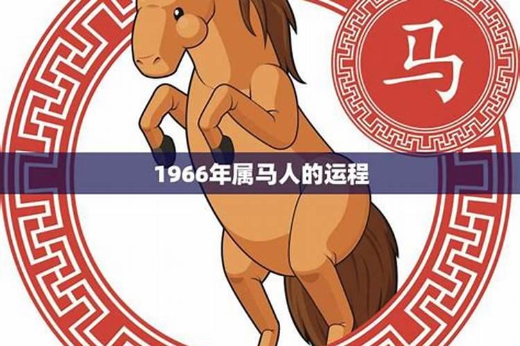 1966年属马的运程怎么样？