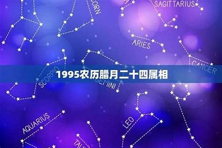 1995腊月十一是什么命？