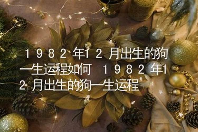 1967年5月出生一生运程
