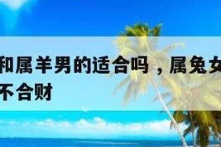 属兔女和属羊女八字合吗？