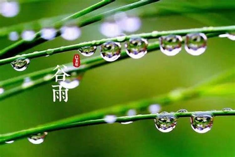 梦中下雨好不好？