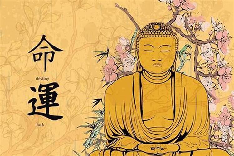 龙抬头生人女命好不好？