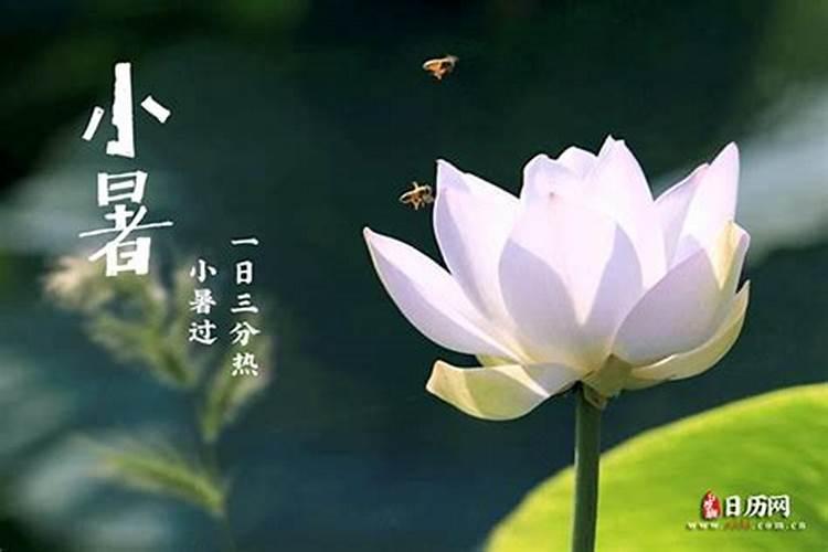 立夏小暑大暑哪个季节热？