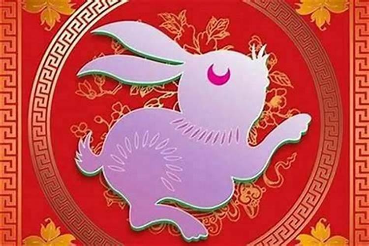九九年的兔今年的运势
