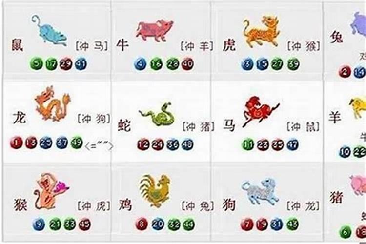 今期生肖鼠有望