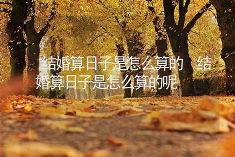 算日子大师是怎么算的？