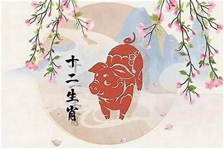 属猪的和属猪的合婚吗？