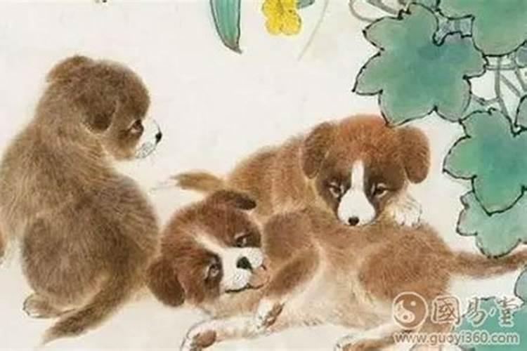 鸡人逢狗年运势如何？