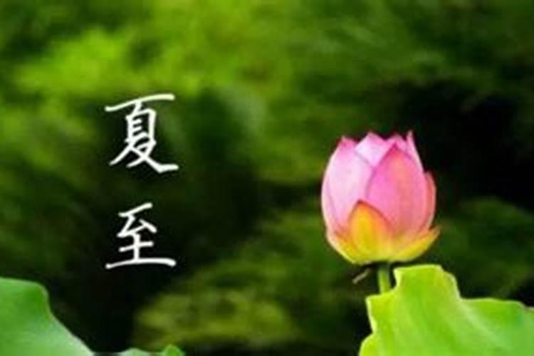零一年夏至农历几月几日？